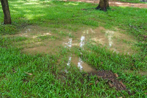 Cost of Storm Water Drainage Service in Greeley