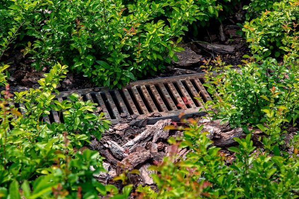 Cost of Underground Drainage Service in Greeley