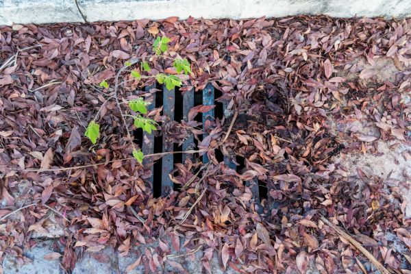 Cost of Yard Drain Unclogging in Greeley