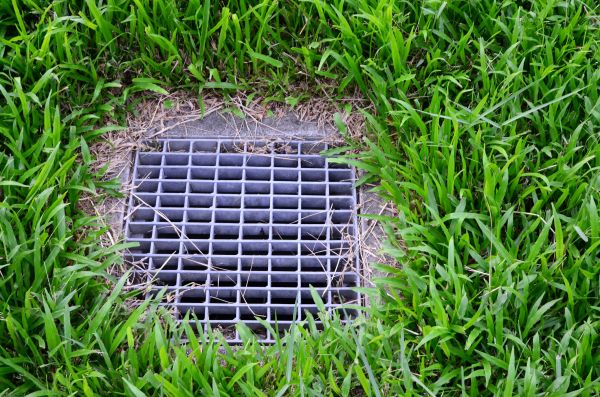 Yard Water Drainage in Greeley
