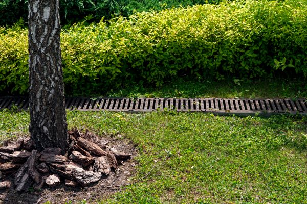 Cost of Yard Water Redirection in Greeley