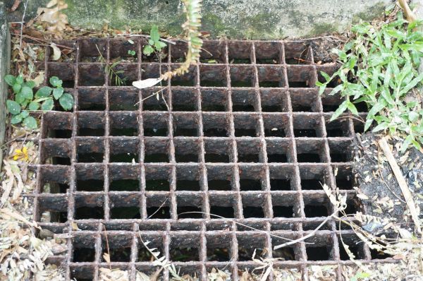 Yard Drain Cleaning in Greeley