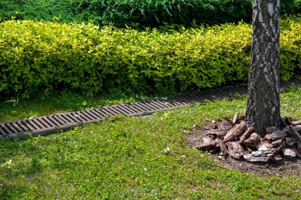 Cost of Residential Landscape Drainage in Greeley