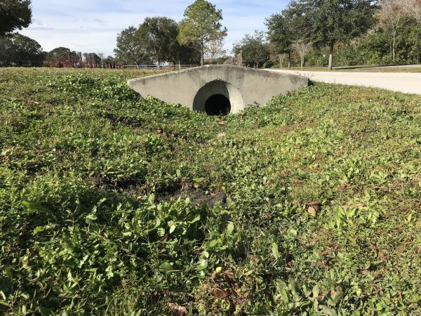 Cost of Swale Drainage Service in Greeley