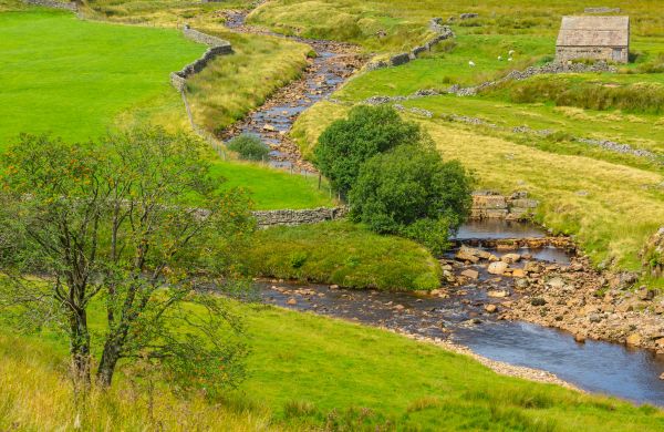 Cost of Swale Repair in Greeley